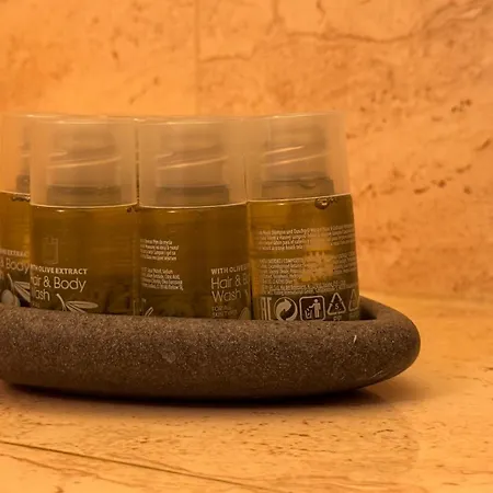 公寓 Aristocrat Near Cismigiu Garden